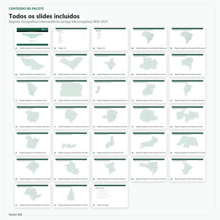 regioes geograficas intermediarias antiga mesorregioes ibge 2025 02 conteudo 1