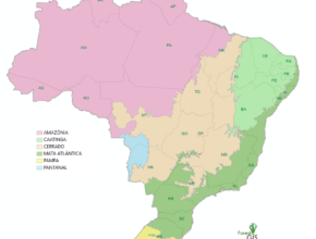 Mapa Biomas do Brasil (IBGE 2019)