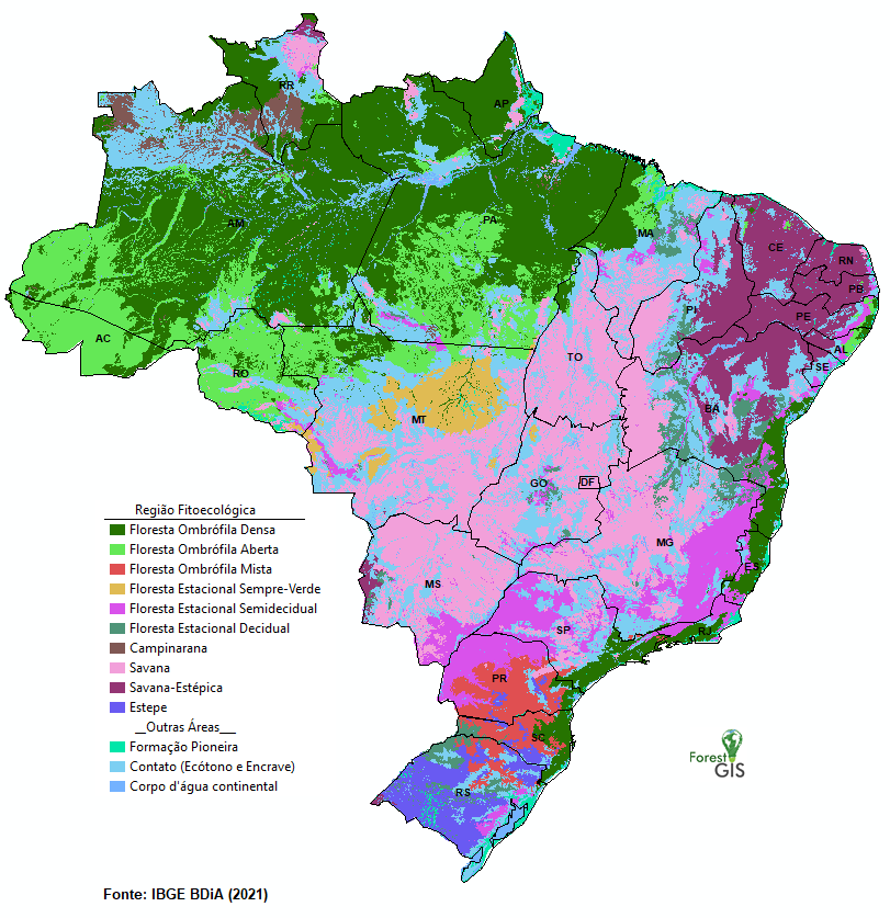 Regiões Fitoecológicas do Brasil (IBGE BDIA)