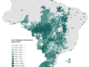 Área plantada por Soja em 2019 no Brasil. Fonte: SIDRA/IBGE