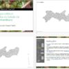 Municípios de Pernambuco como objetos editáveis pptx