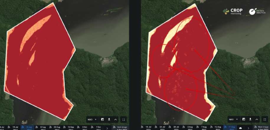 Comparamos ARCGIS e QGIS, confira as principais diferenças