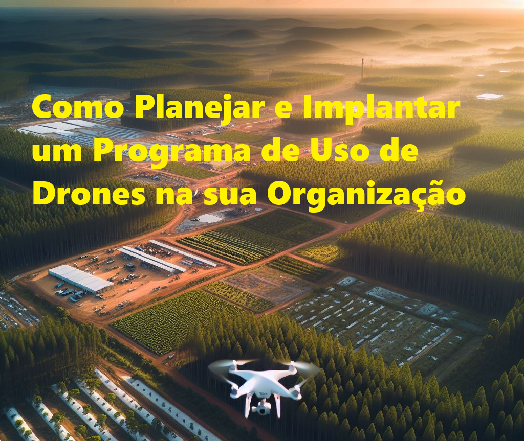 Como Planejar e Implantar um Programa de Uso de Drones na sua Organização