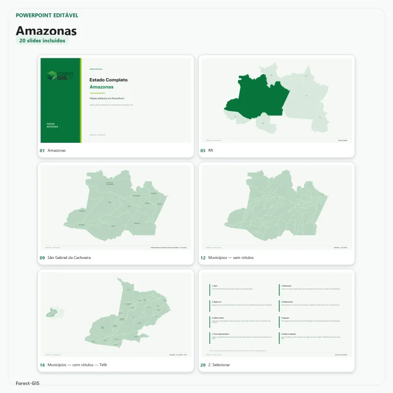 mapas amazonas powerpoint editavel estado completo ibge 2025 01