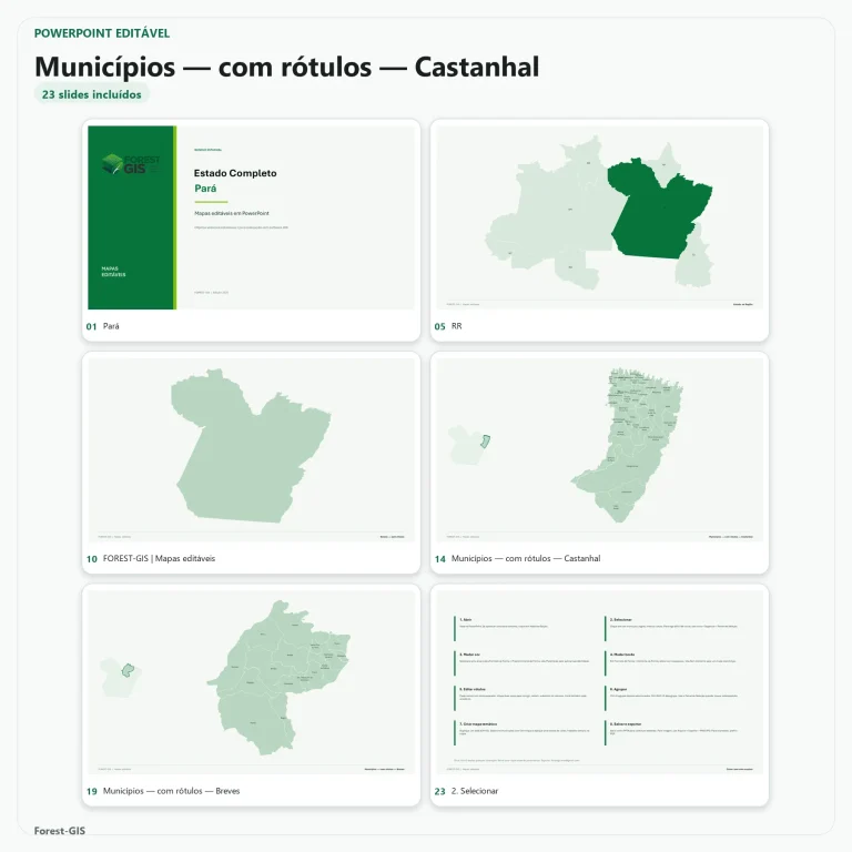 mapas para powerpoint editavel estado completo ibge 2025 01
